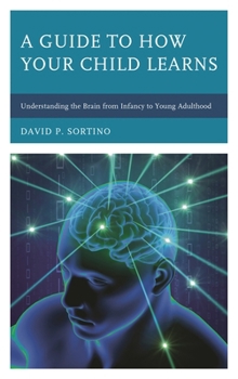 Paperback Guide to How Your Child Learns: Understanding the Brain from Infancy to Young Adulthood Book