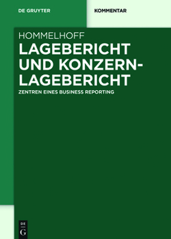 Hardcover Lagebericht und Konzernlagebericht [German] Book