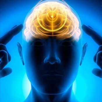 Paperback Unlocking Your Potential: A Guide to Personal Development Book