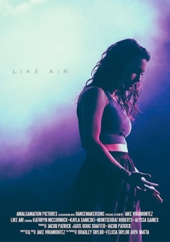 DVD Like Air Book