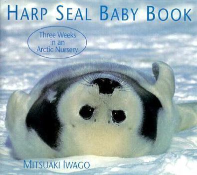 Paperback Harp Seal Baby Book: Three Weeks in an Artic Nursery Book