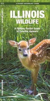 Hardcover Illinois Wildlife: A Folding Pocket Guide to Familiar Animals Book