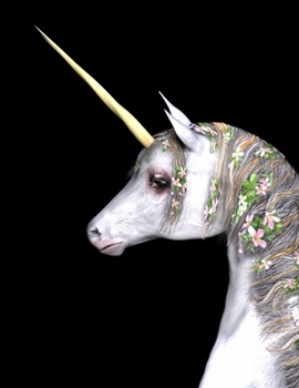 My Black Journal The Unicorn