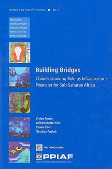 Paperback Building Bridges: China's Growing Role as Infrastructure Financier for Sub-Saharan Africa Volume 5 Book