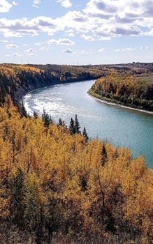 Paperback Nestle In: poems for hope and inspiration Book