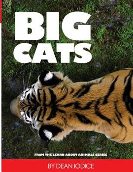 Paperback Big Cats Book