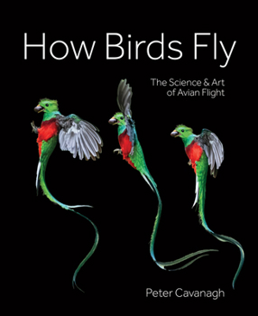 Hardcover How Birds Fly: The Science and Art of Avian Flight Book