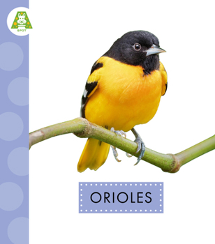 Orioles (Spot Backyard Birds)