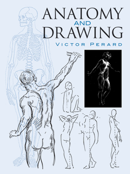 Anatomy and Drawing