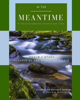 Paperback In The Meantime Book