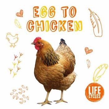 Paperback Chicken (Life Cycles) Book