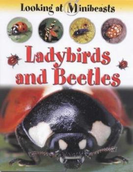 Paperback Ladybirds and Beetles Book