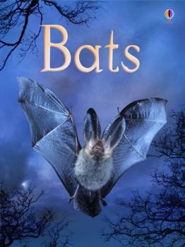 Hardcover Bats Book