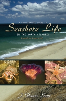 Paperback A Photographic Guide to Seashore Life in the North Atlantic: Canada to Cape Cod Book