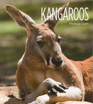 Kangaroos - Book  of the Living Wild