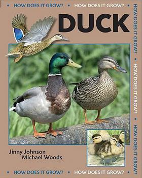Library Binding Duck Book