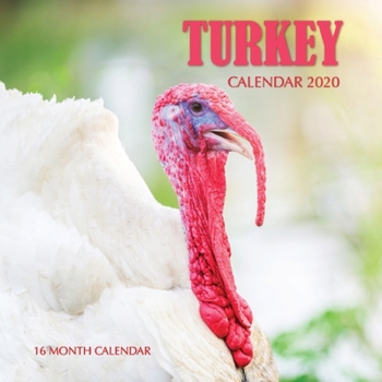 Turkey Calendar 2020: 16 Month Calendar