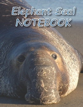 Elephant Seal NOTEBOOK: Notebooks and Journals 110 pages (8.5"x11")