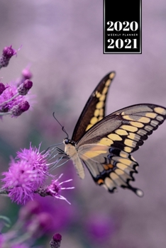 Butterfly Butterflies Insect Week Planner Weekly Organizer Calendar 2020 / 2021 - Purple Flowers: Cute Wildlife Animal Pet Bullet Journal Notebook Diary in 6” x 9” Inch Pocket Size