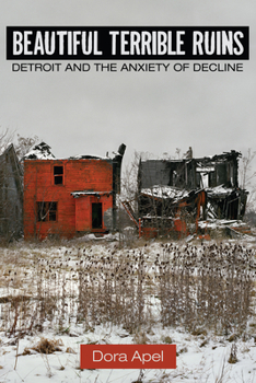 Paperback Beautiful Terrible Ruins: Detroit and the Anxiety of Decline Book