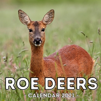 Paperback Roe Deers Calendar 2021: 16-Month Calendar, Cute Gift Idea For Deer Lovers Women & Men Book