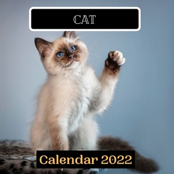 cat calendar 2022