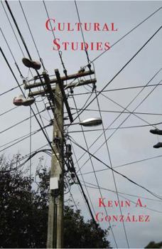 Paperback Cultural Studies Book