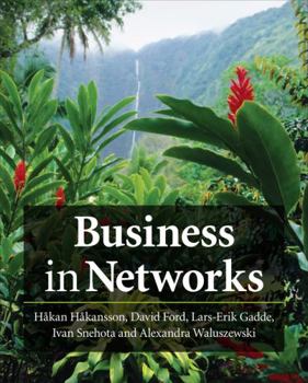 Paperback Business in Networks Book