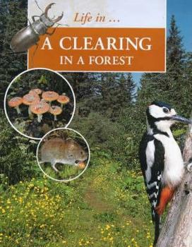 Hardcover Clearing in the Forest Book