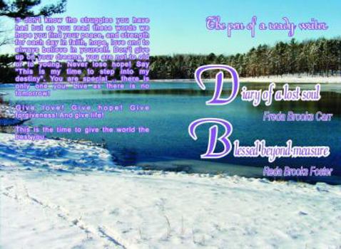 Paperback Diary of a Lost Soul - Blessed Beyond Measure Book