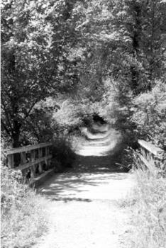 Paperback bridges Book