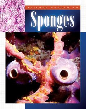 Library Binding Sponges Book