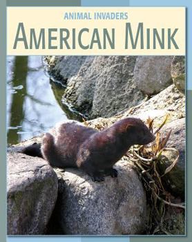 American Mink - Book  of the Animal Invaders