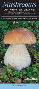 Mushrooms of New England Maine, New Hampshire, Vermont, Massachusetts, Rhode Island, and Connecticut : A Guide to Common Edible and Poisonous Species