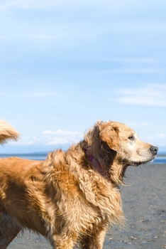 Golden Retriever Dog Pup Puppy Doggie Notebook Bullet Journal Diary Composition Book Notepad - Bushy Fur: Cute Animal Pet Owner Composition Book with ... Ruled Lined Paper Pages in 6” x 9” Inch