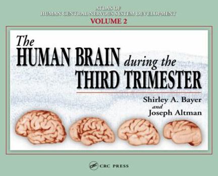 Hardcover The Human Brain During the Third Trimester Book