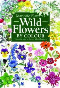 Paperback Marjorie Blamey's Wild Flowers by Colour: The Simple Way to Identify Flowers. Book