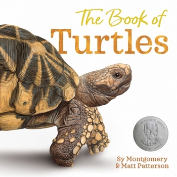 Hardcover The Book of Turtles Book