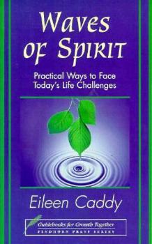 Paperback Waves of Spirit: Practical Ways to Face Today's Life Challenges Book