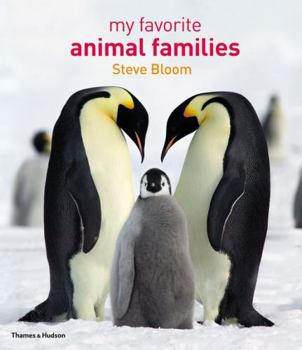 Hardcover My Favorite Animal Families Book