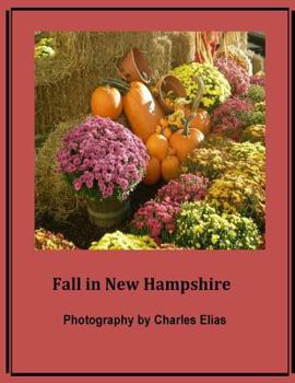 Paperback Fall in New Hampshire Book