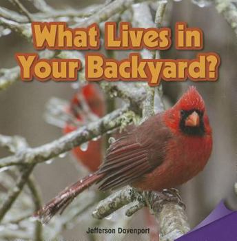 Paperback What Lives in Your Backyard? Book