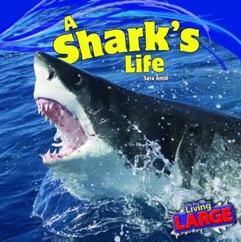 A Shark's Life - Book  of the Living Large