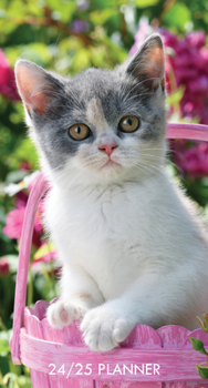 Calendar Cute as a Kitten 2024 3.5 X 6.5 2-Year Pocket Planner Book