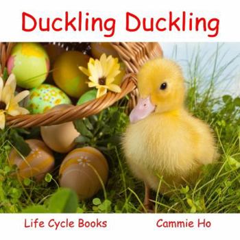 Paperback Duckling Duckling: Life Cycle Books Book