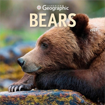 Canadian Geographic Bears Official 2027 12 X 24 Inch (Hanging) Monthly Square Wall Calendar