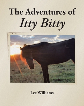 Paperback The Adventures of Itty Bitty Book