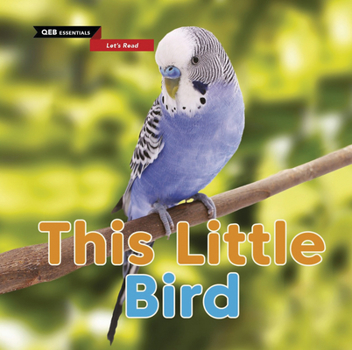 Library Binding This Little Bird Book