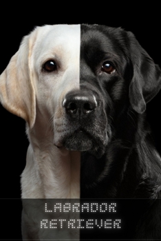 Paperback Labrador Retriever: The Complete Breed Guide Book
