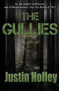Paperback The Gullies Book